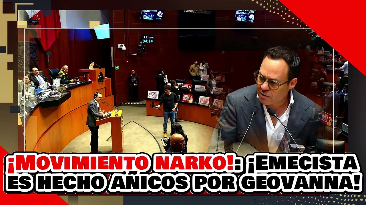 ¡MOVIMIENTO DE NARKOS! ¡GATO de PEDANTE DELGADO es HECHO AÑICOS por la SENADORA GEOVANNA BAÑUELOS!