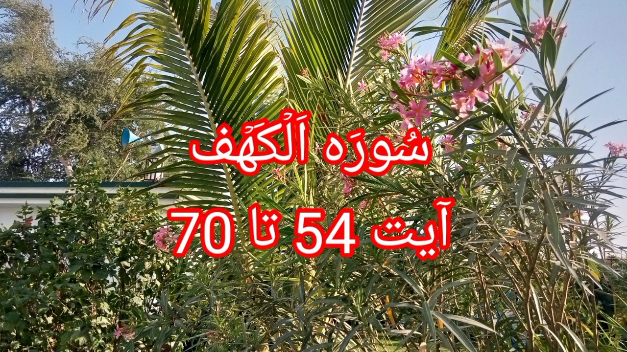 Surah Kahf | Tilawat Al kahf | quran tilawat | recitation of Quran | bubak learn quran |