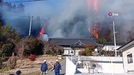 Japonya'da orman yangınları: 2 bin 100 hektar kül oldu!