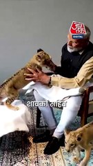 पीएम मोदी ने वनतारा का दौरा किया, शेर के शावक को दुलारते नजर आए