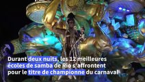 Un premier oscar à hollywood et le carnaval de rio s enflamme
