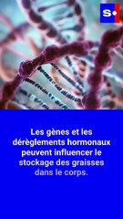Obésité : quelles sont les causes et comment la soigner ?