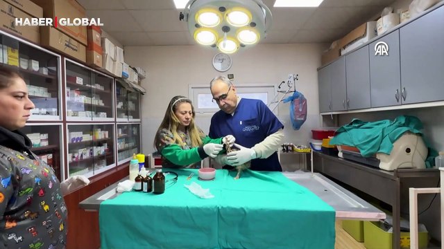 Garip isimli 6 günlük deve kuşu yavrusu ilgi odağı oldu