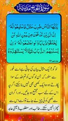 #quranurdu #quran #quranverses #quranayat #quranrecitation #islam #urdu #allah #quransayings #qurankareem #hadith #urdupoetry #quranonline #surah #quranquotes #holyquran #islamicquotes #islamic #urdulines #quranmajeed #quranpakkitilawat #quransharif #tila