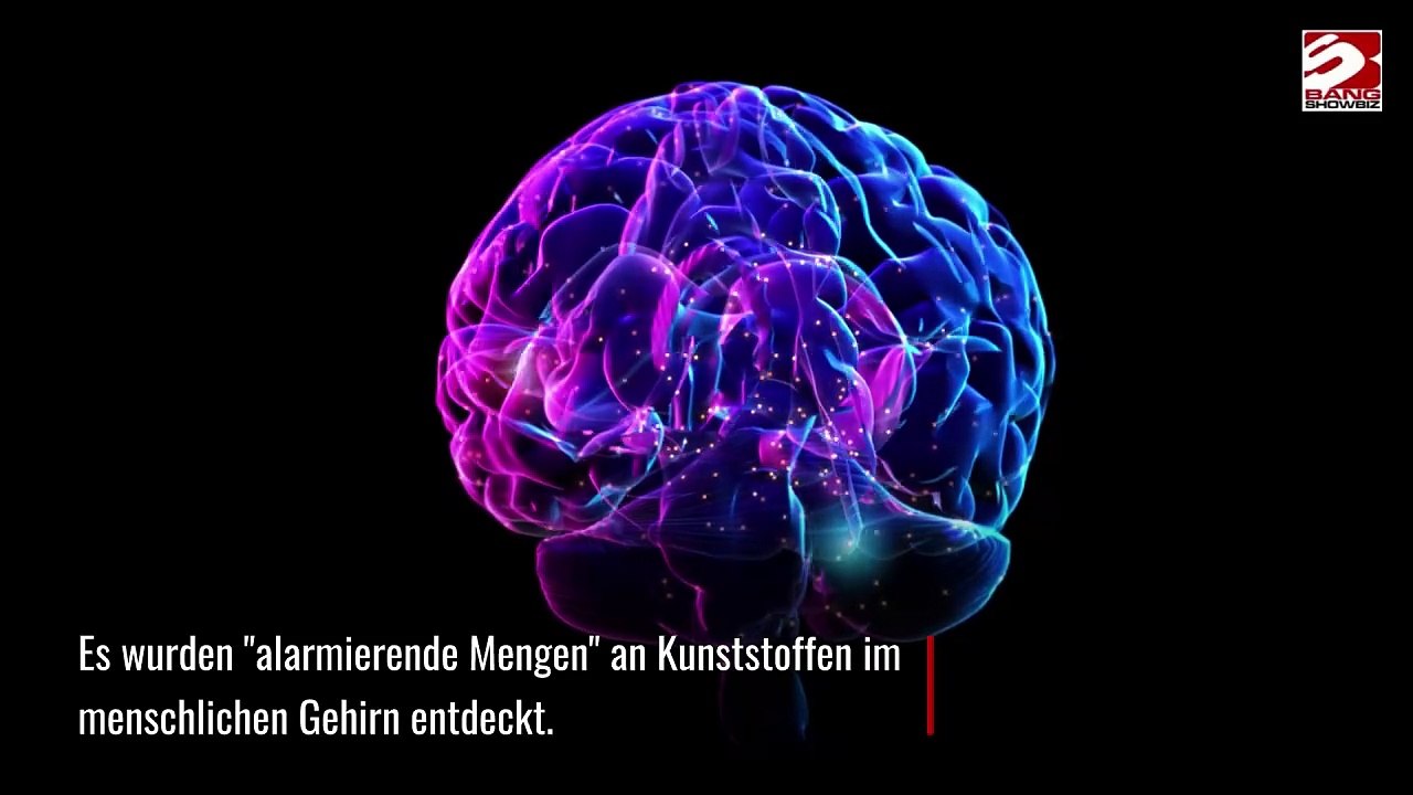'Alarmierende Konzentrationen' von Kunststoffen im menschlichen Gehirn