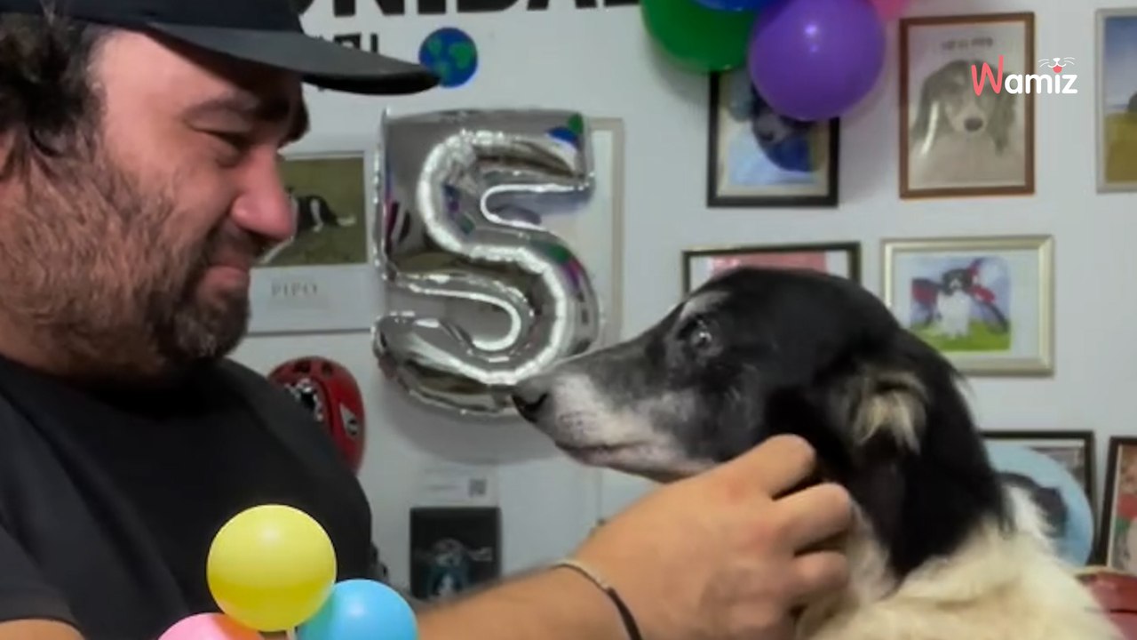 El vídeo por el 15 cumpleaños de Pipo que deja llorando a lágrima viva a todo el mundo