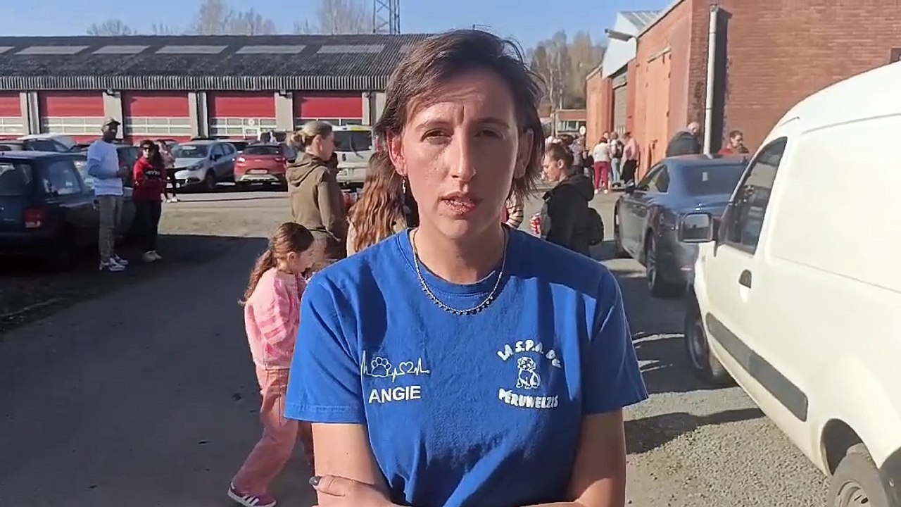 Angie Petit, présidente de la SPA de Péruwelz, réagit à la décision du Conseil d'Etat de restituer des chiens saisis, et adoptés depuis lors, à leurs propriétaires maltraitants