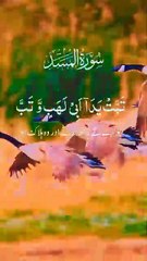 #quranurdu #quran #quranverses #quranayat #quranrecitation #islam #urdu #allah #quransayings #qurankareem #hadith #urdupoetry #quranonline #surah #quranquotes #holyquran #islamicquotes #islamic #urdulines #quranmajeed #quranpakkitilawat #quransharif #tila