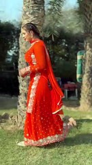 latest punjabi dance show #dance #dancer #archestr