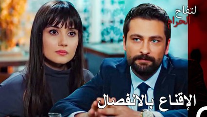 وكأننا نعيش في حلم مستحيل - التفاح الحرام