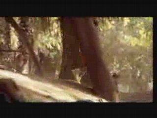 Samira - Koleena Ensan