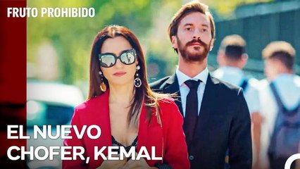 La Decisión De Ender Y Kemal De Unirse - Fruto Prohibido Capitulo 40
