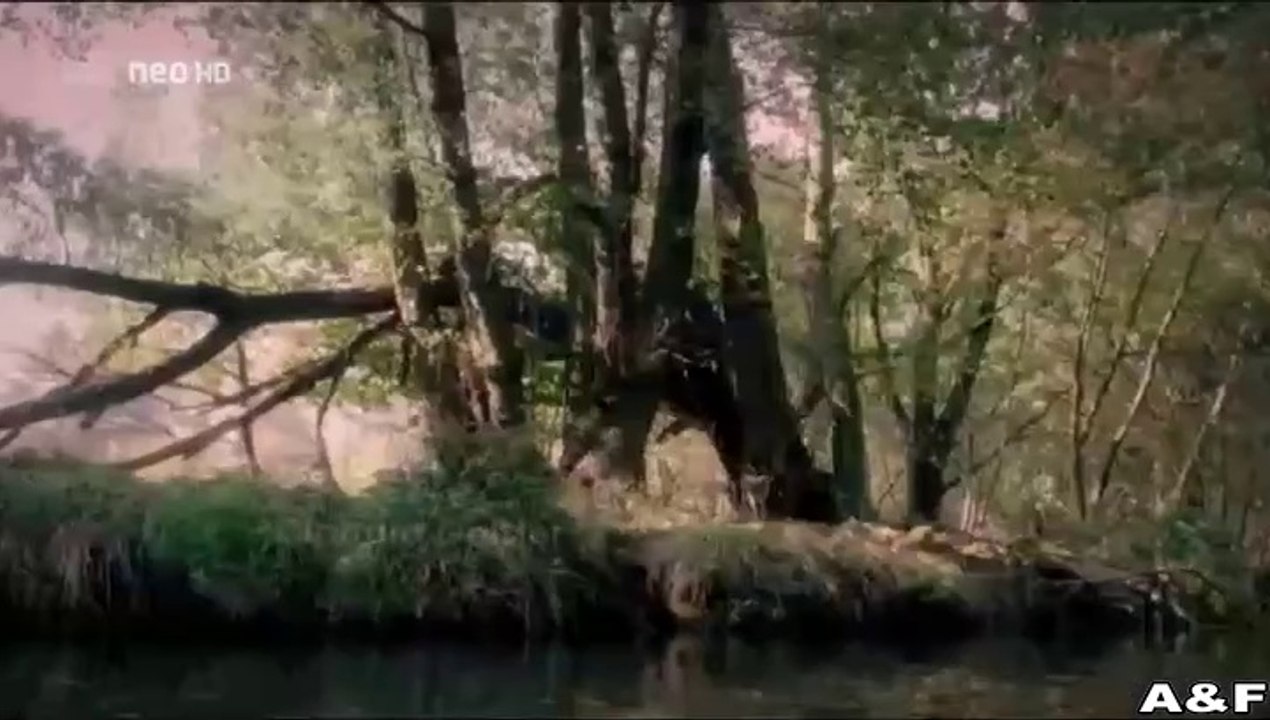 Spreewaldkrimi -04- Eine tödliche Legende