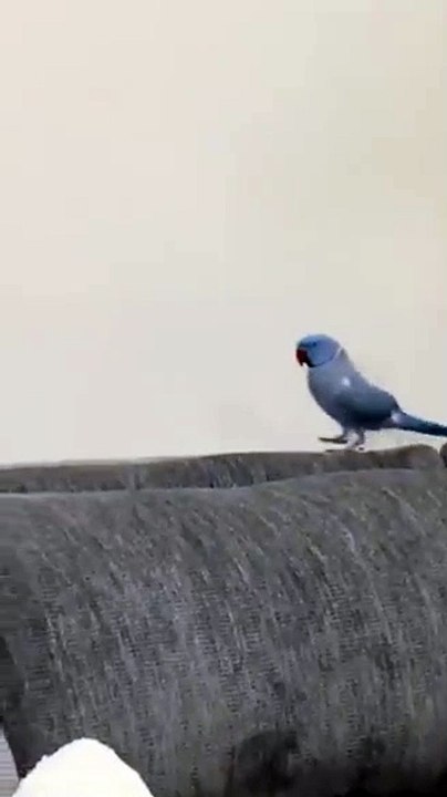 WAIT… I have a message for you.