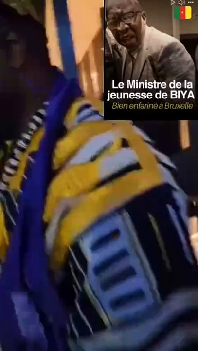 Cameroun : Le ministre Mounouna Foutsou agressé en Belgique (vidéo)