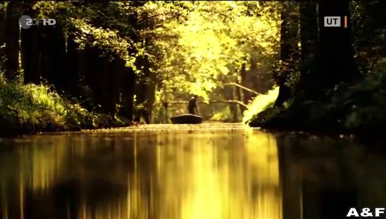 Spreewaldkrimi -06- Mörderische Hitze