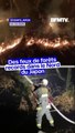 Des feux de forêts records dans le Nord du Japon provoquent l'évacuation de milliers d'habitants