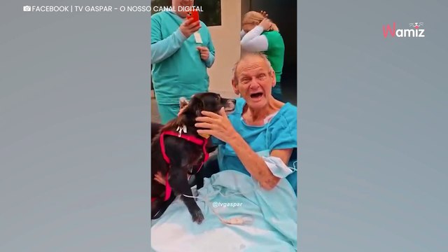 Kranker Mann auf der Intensivstation: Wochen später kommt es zu einem Wiedersehen mit seinem Ein und Alles