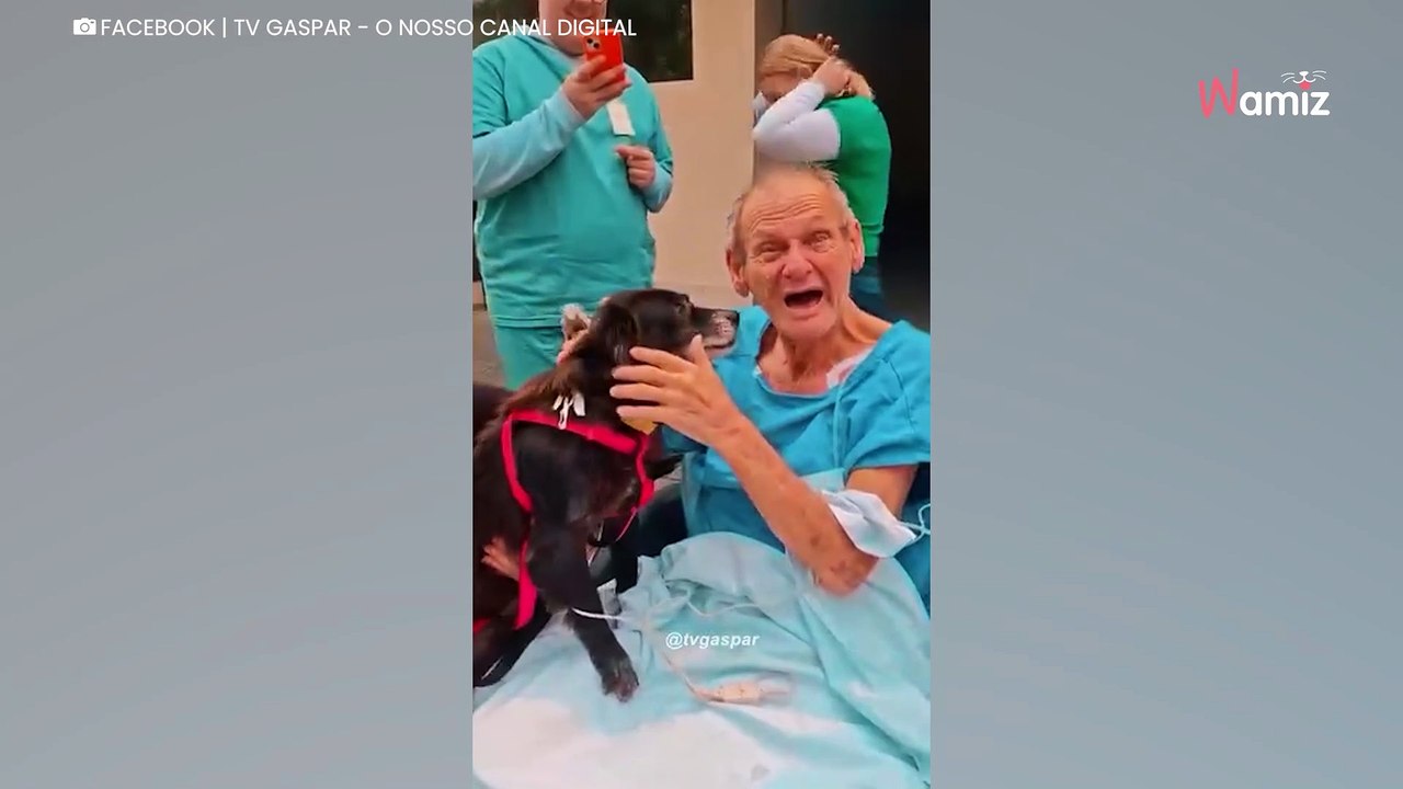 Kranker Mann auf der Intensivstation: Wochen später kommt es zu einem Wiedersehen mit seinem Ein und Alles