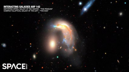 James Webb Space Telescope Spies iInteracting Galaxies