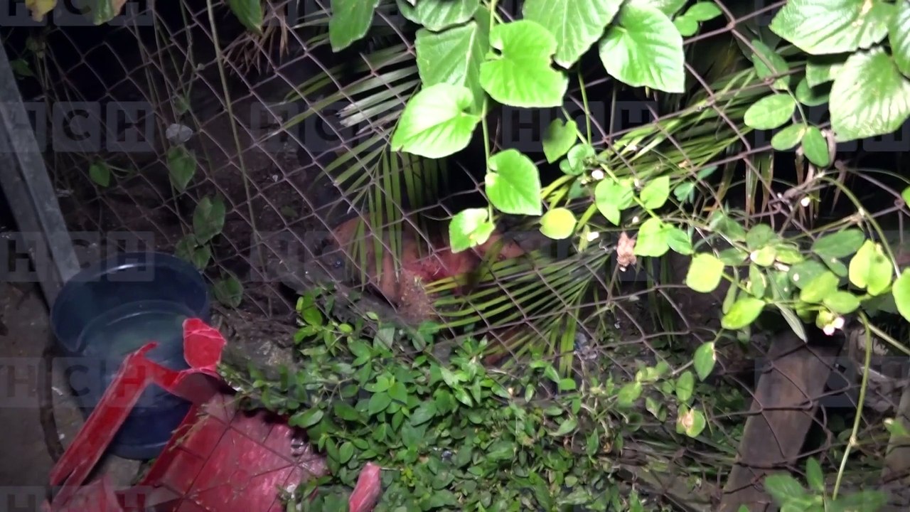 Móvil de Emergencia SPS