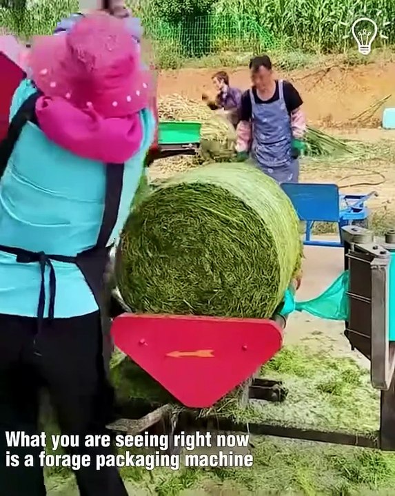 Amazing Forage Packaging Machine!