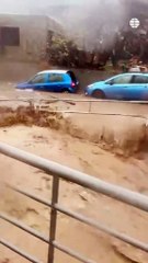 VIDEO: ¡Logró sacarla! Un hombre rescató a su vecina que casi es arrastrada por una riada