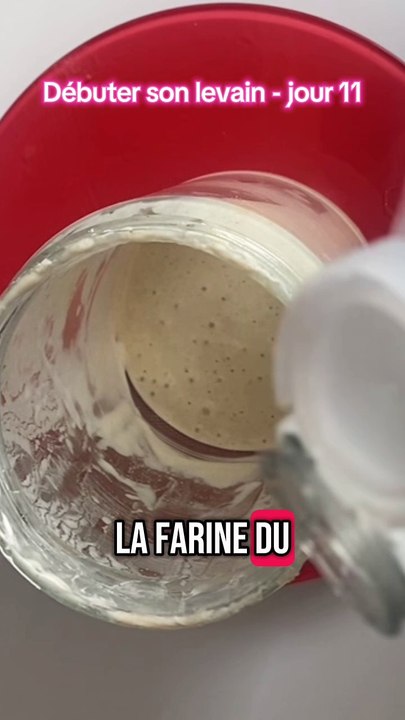 Va-t-il partir en déshydratation ? #levain