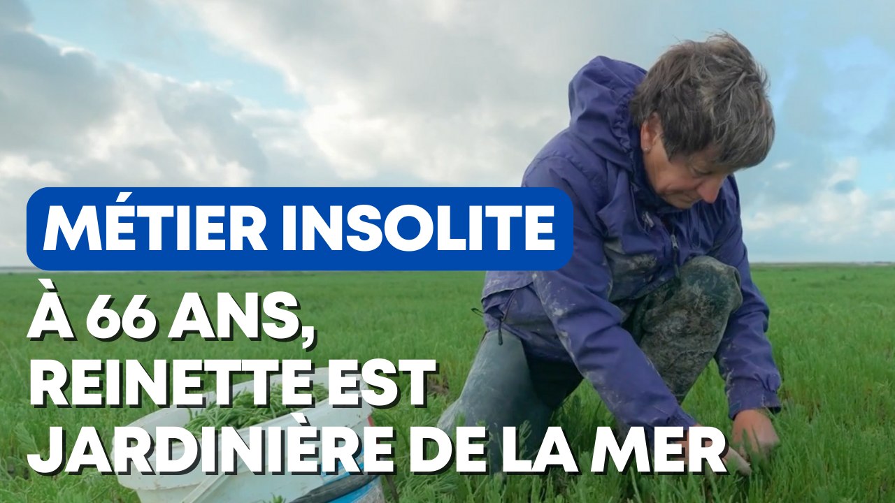 Le quotidien de Reinette, jardinière de la mer en Baie de Somme à 66 ans