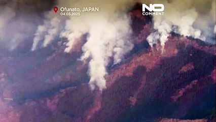 Les feux de forêt font toujours rage au Japon