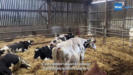 Une prépa-vêlage aux petits oignons pour passer le cap des 40 l en début de lactation