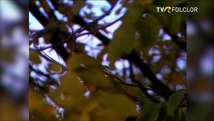 Ion Toader - Marioara, viata amara (Melodii indragite - arhiva TVR)