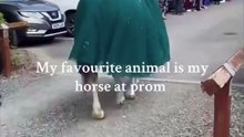 Her high school prom entrance had an unexpected ending