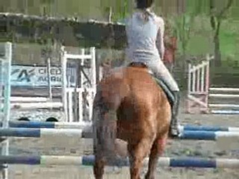 Le tour de Nono au concours du club