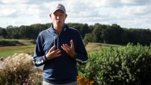 What Is The General Penalty? -  Golf Rules Explained