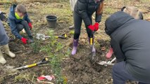 Eco Warriors help North Tyneside Council plant 450 trees at Killingworth Lakeside Park