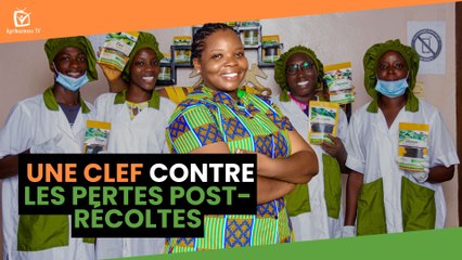 Agri Story : Une clef contre les pertes post-récoltes