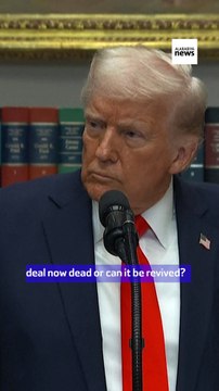 Ukraine minerals deal not dead: Trump