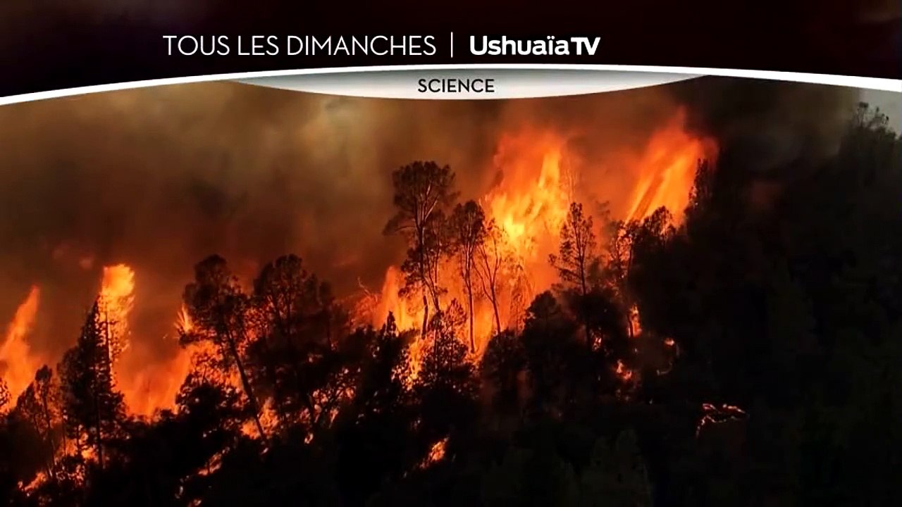 La science des forces de la nature