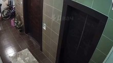 A little fart
