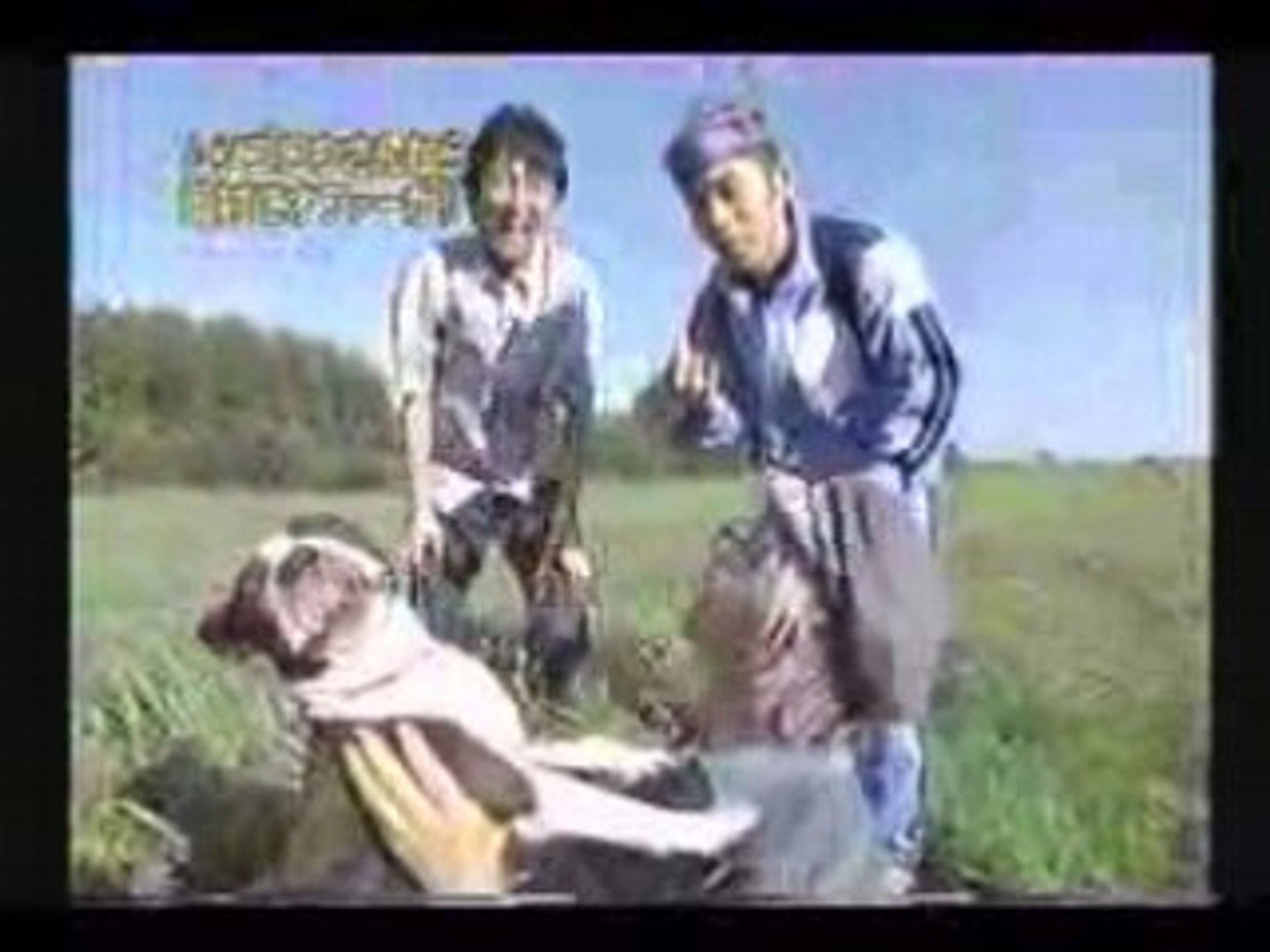ムツゴロウさんと犬の戯れ 動画 Dailymotion