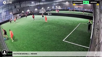 Faute de Michel L - Nexira