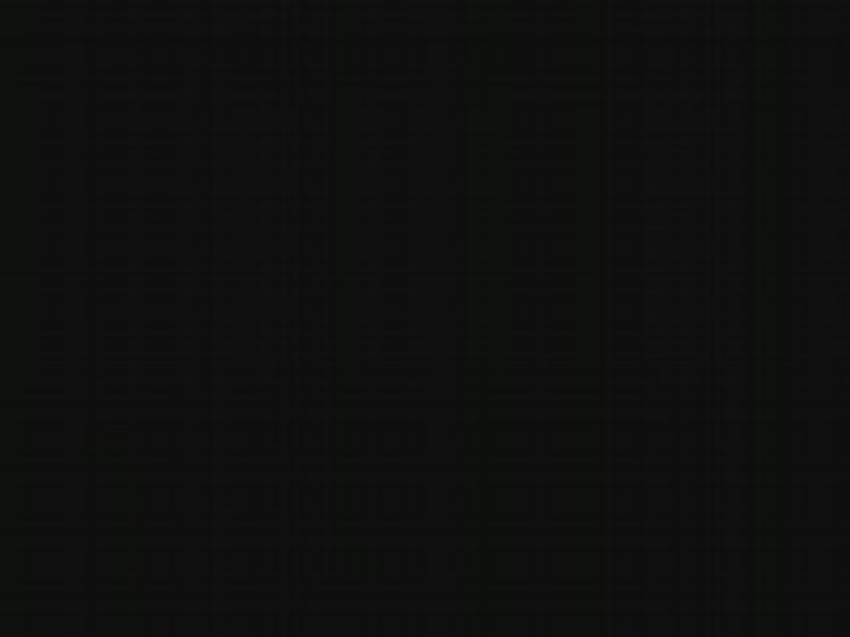 Hommage a nos champions(1)