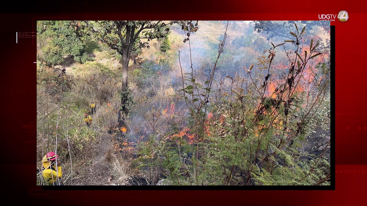 César Zamora advierte sobre el impacto humano en incendios forestales durante temporada de estiaje