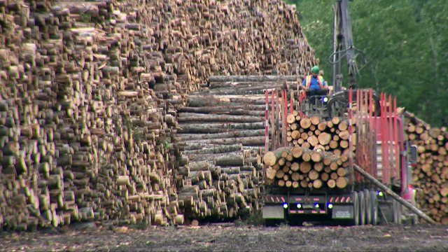 4 mars TOPO AD Tarifs douaniers react NB