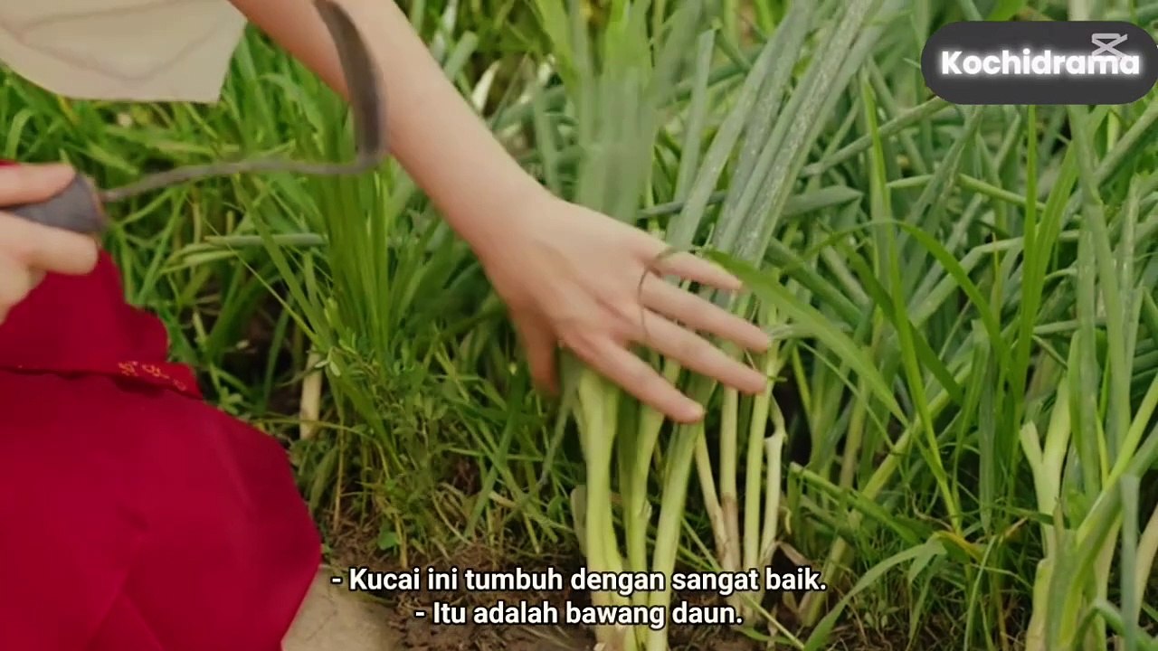 [Indo sub] ep 15 Les Belles