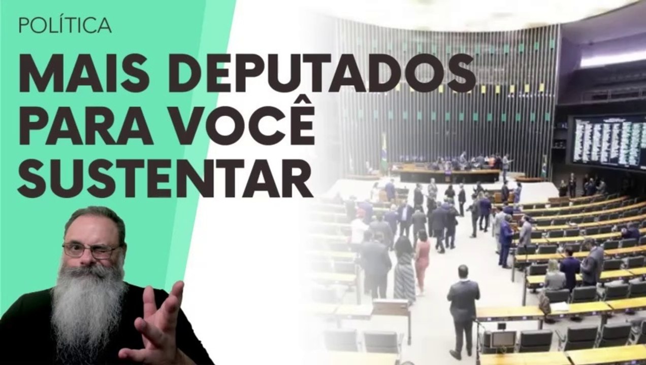 STF exige RECONTAGEM de DEPUTADOS e CÂMARA quer AUMENTAR o NÚMERO de DEPUTADOS para 531 em 2026