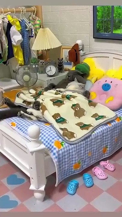 🙄🙄 thua cả con mều