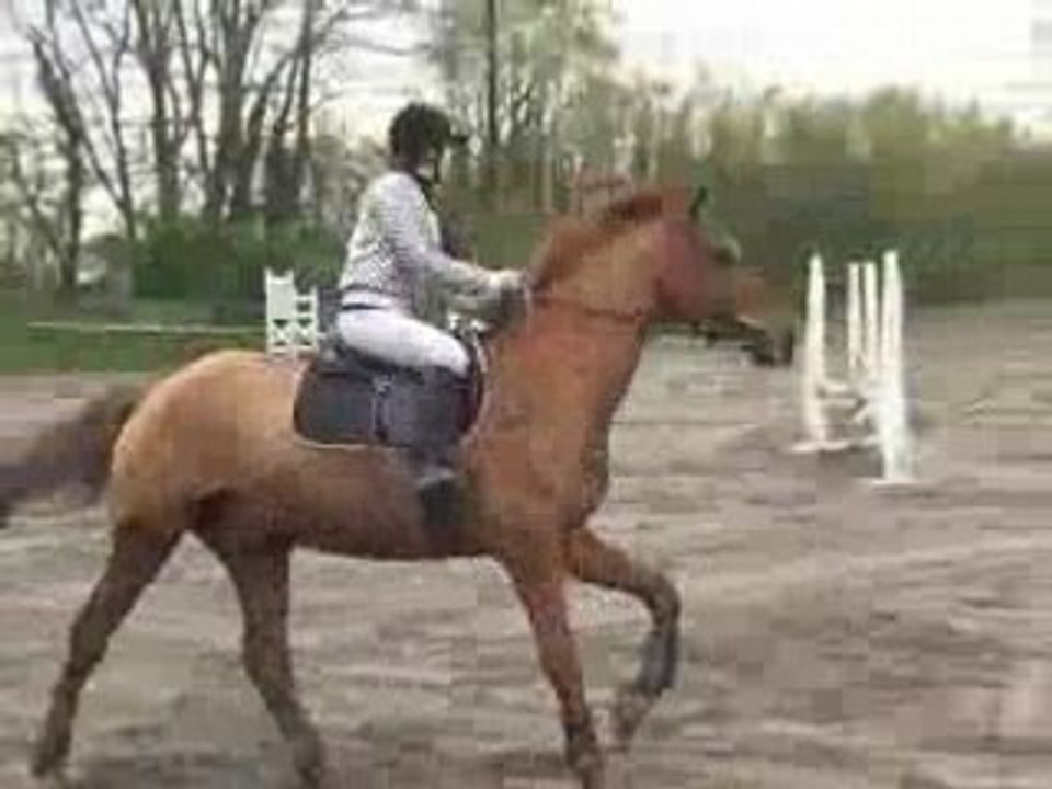 CIMG0634