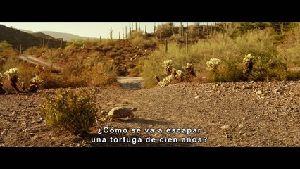 Lucky: Un joven de noventa años | movie | 2017 | Official Trailer